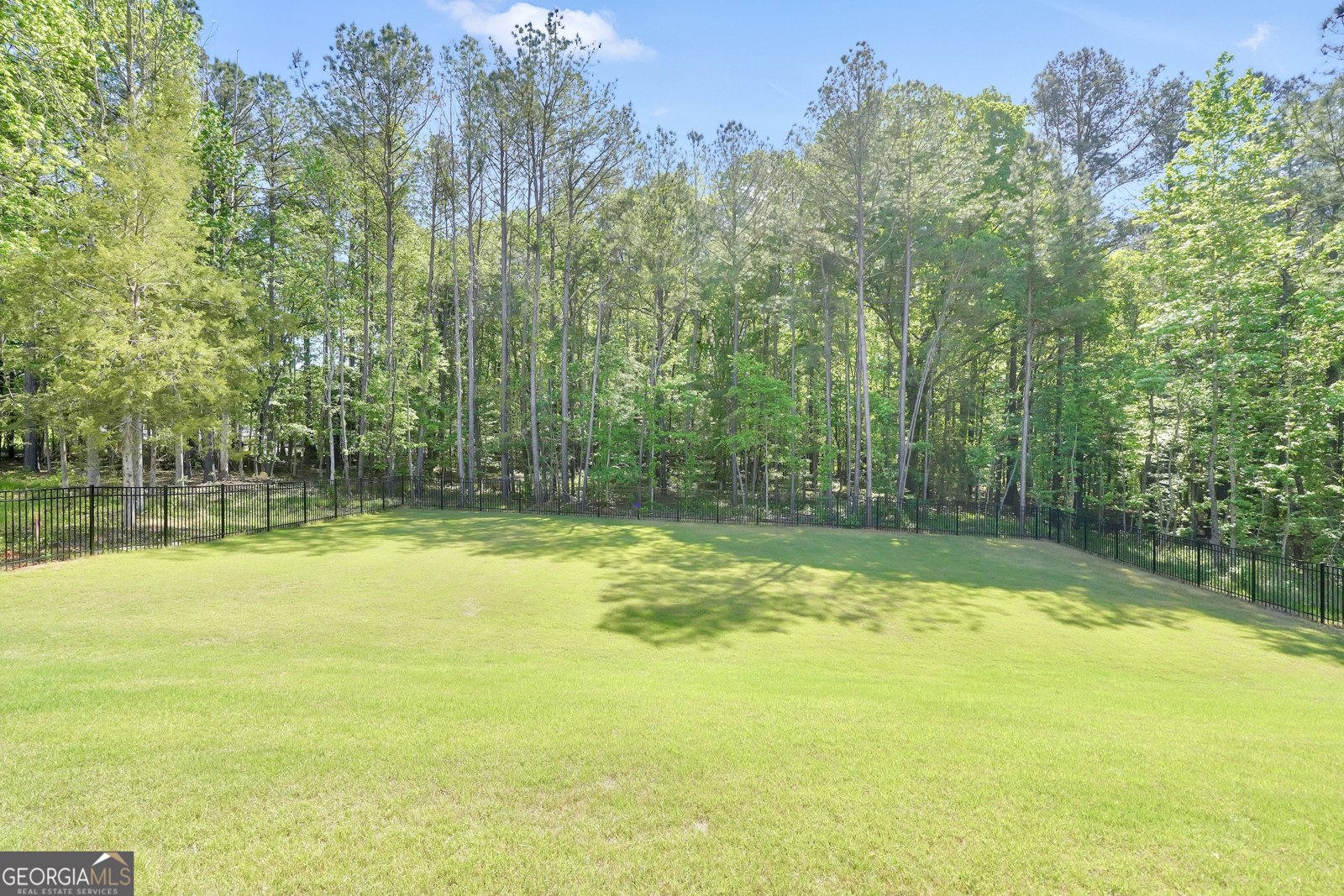 293 Delta Drive Mcdonough - Photo 49