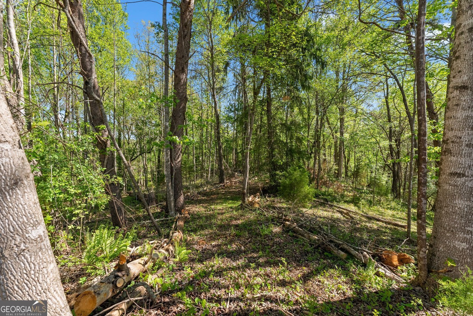 153 Trackrock Gap Road Blairsville - Photo 50