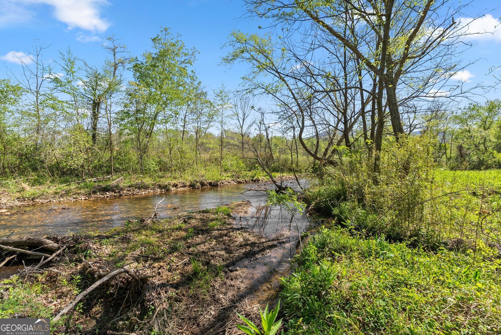 153 Trackrock Gap Road Blairsville - Photo 51