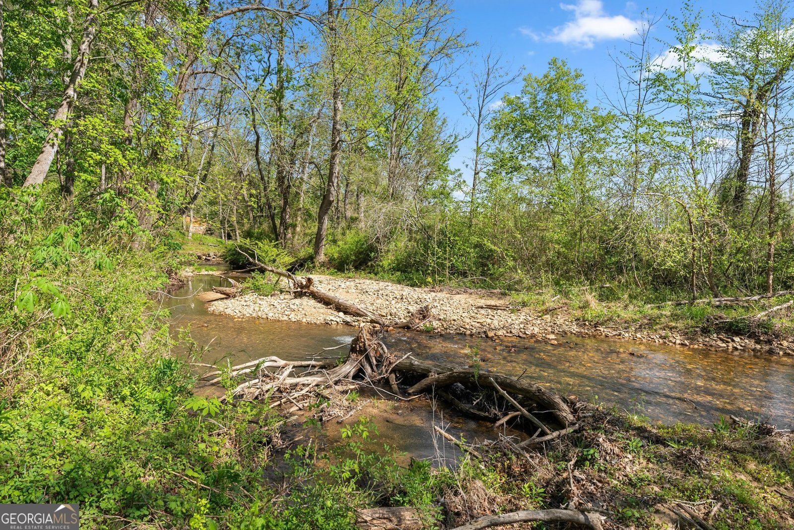 153 Trackrock Gap Road Blairsville - Photo 52