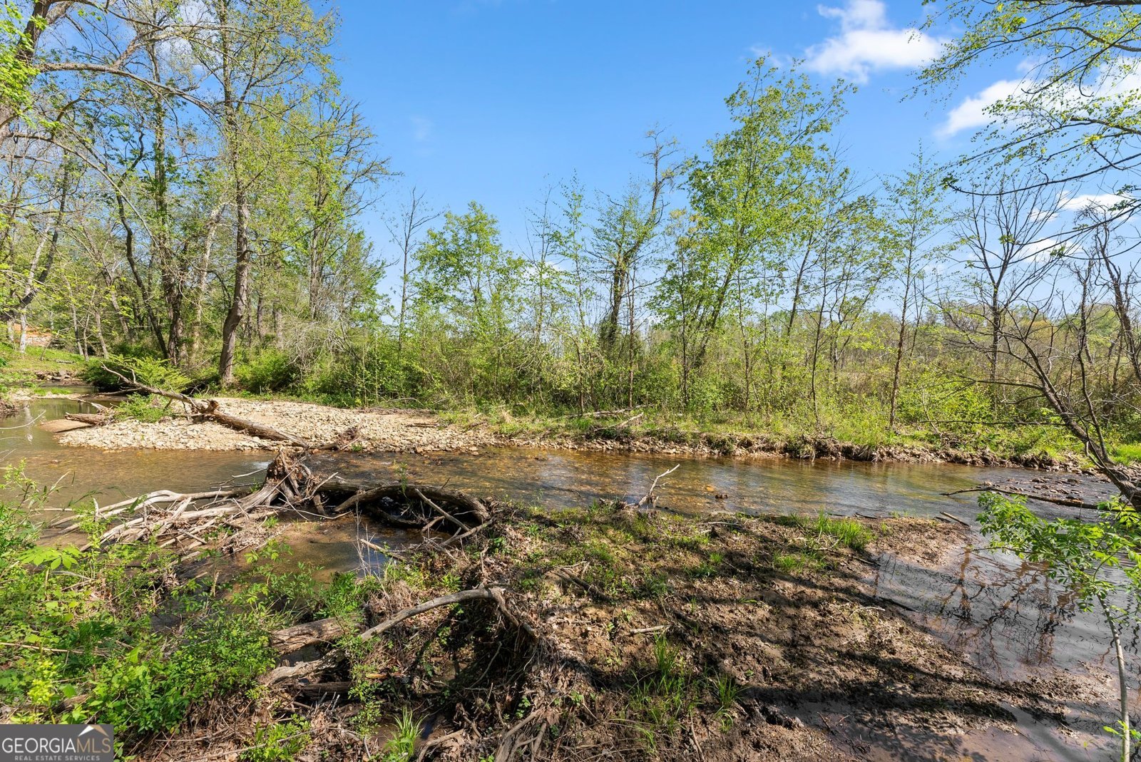 153 Trackrock Gap Road Blairsville - Photo 53