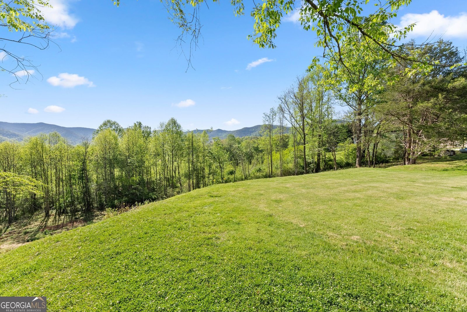 153 Trackrock Gap Road Blairsville - Photo 54