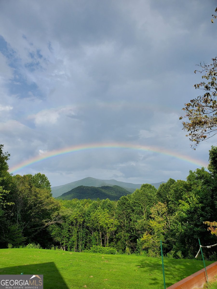 153 Trackrock Gap Road Blairsville - Photo 76