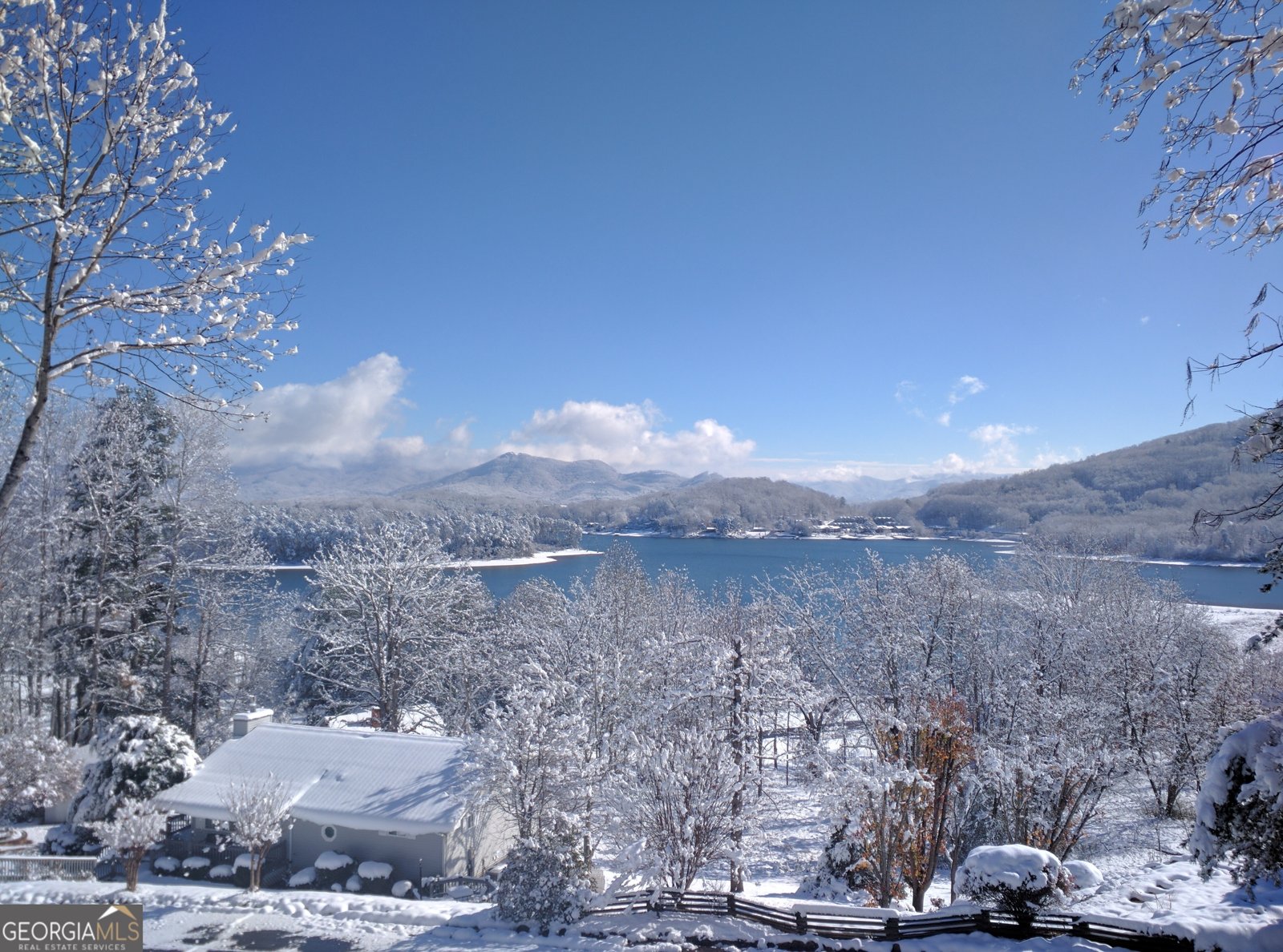 1929 Lakeview Summit Drive Young Harris - Photo 18