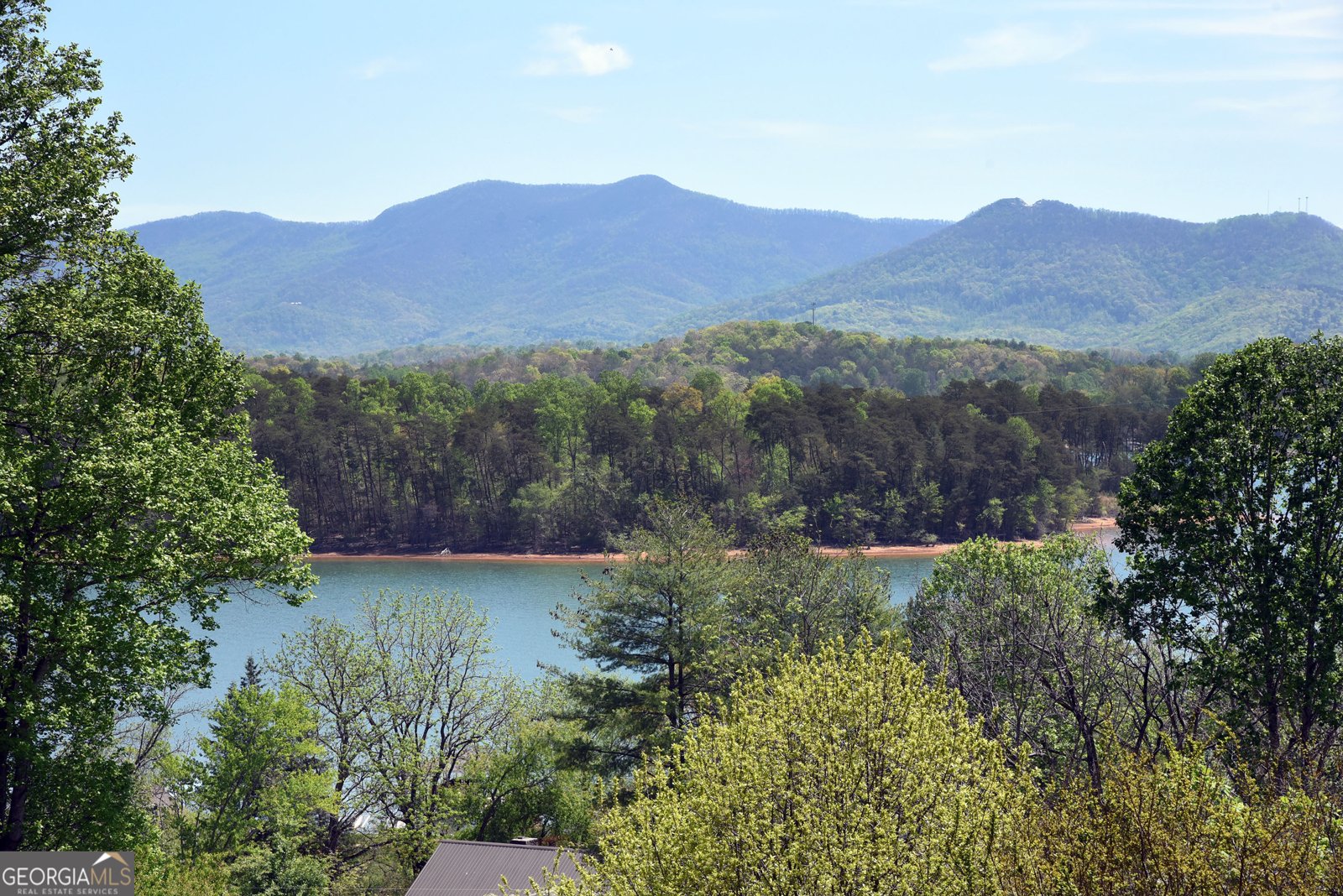 1929 Lakeview Summit Drive Young Harris - Photo 19