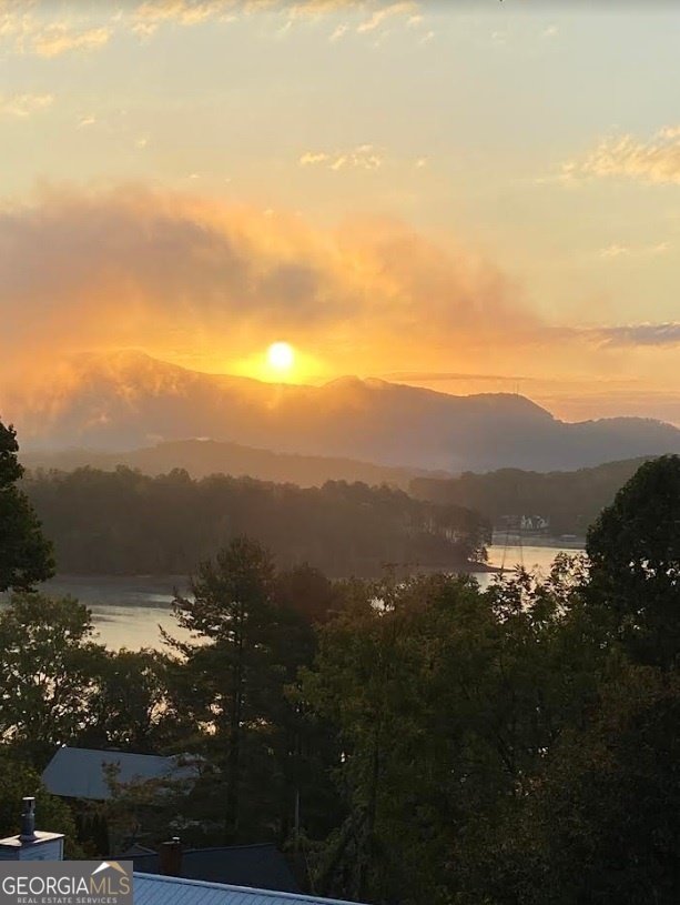 1929 Lakeview Summit Drive Young Harris - Photo 69