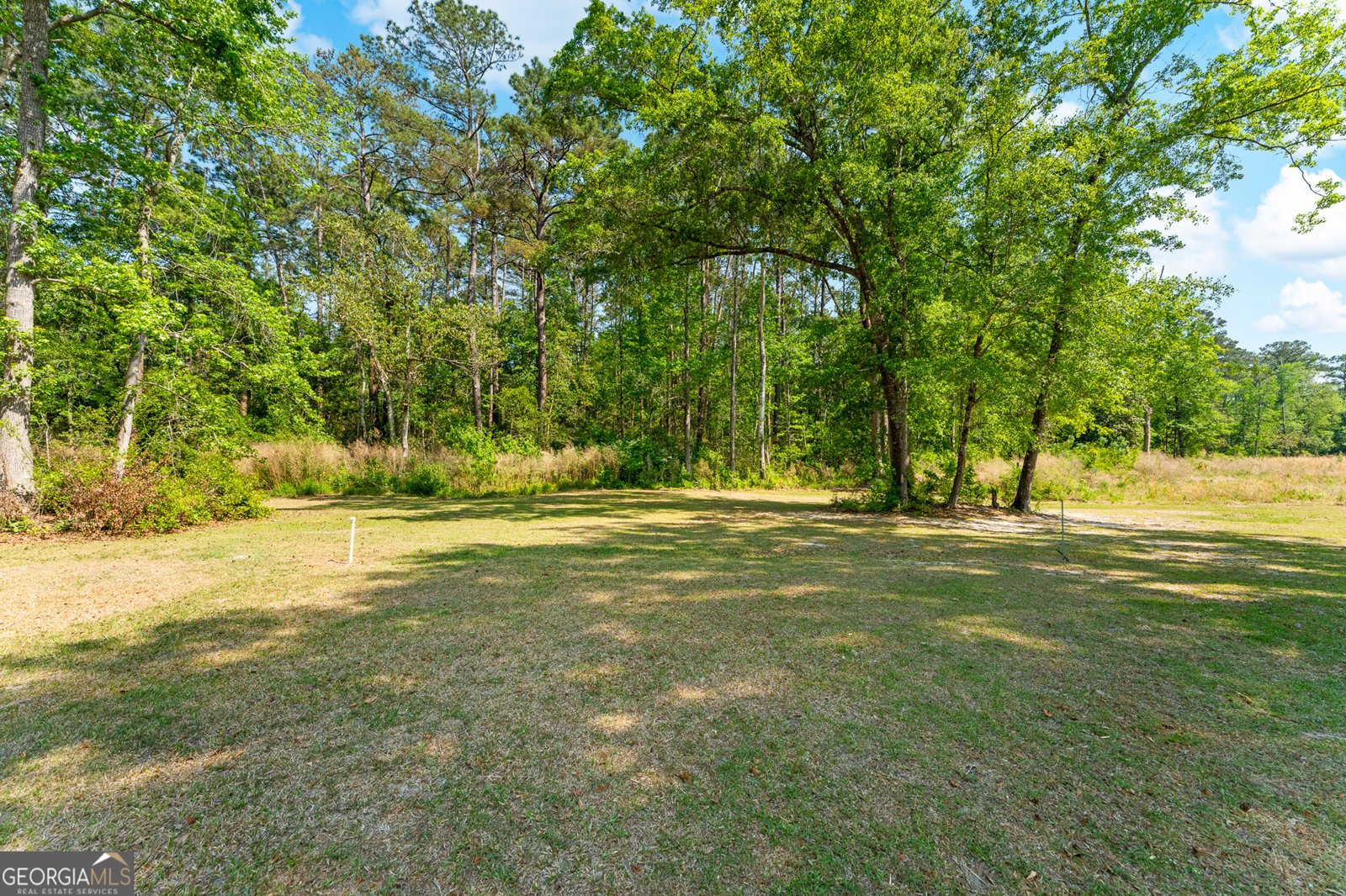 1530 Olive Branch Road Ellabell - Photo 13