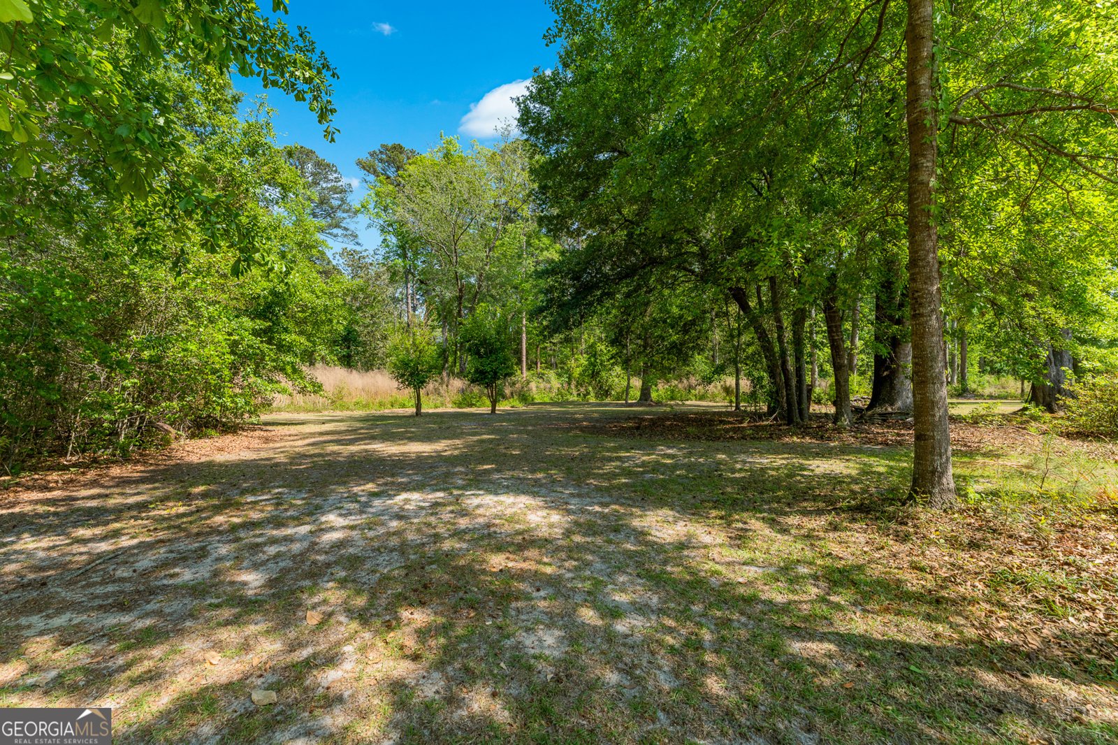 1530 Olive Branch Road Ellabell - Photo 27