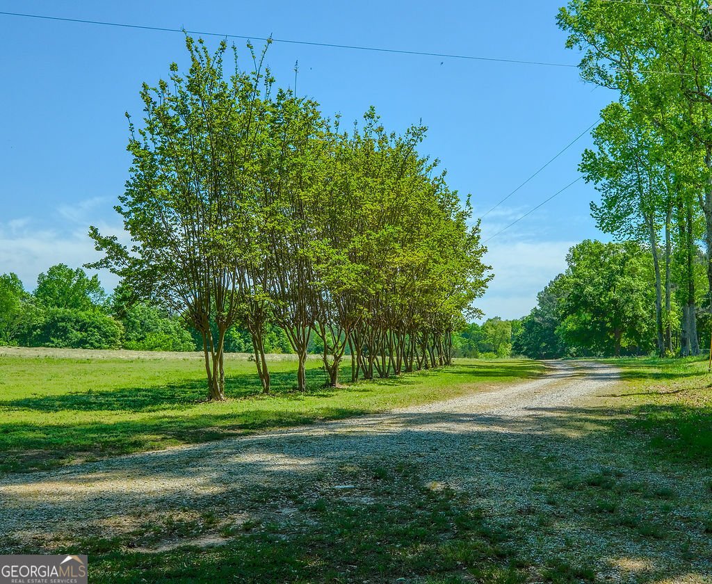 838 Buford Carey Road Hull - Photo 41