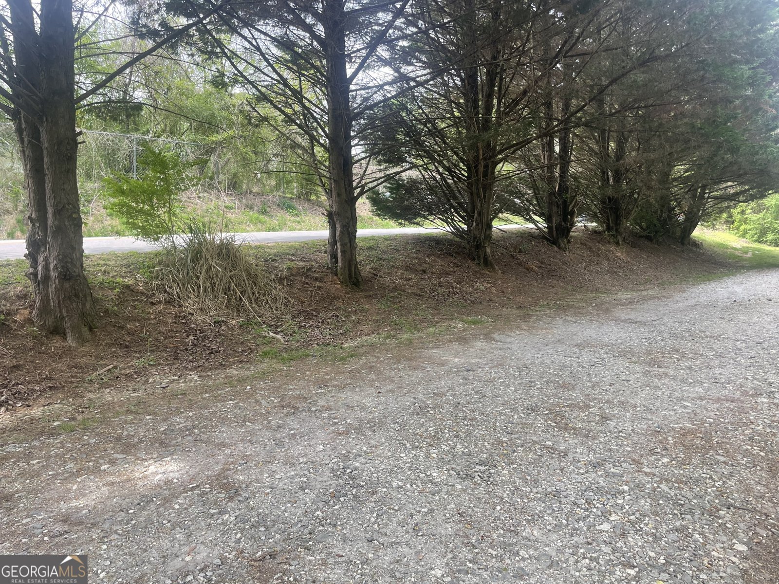 1307 Creasy Patch Road Cornelia - Photo 7