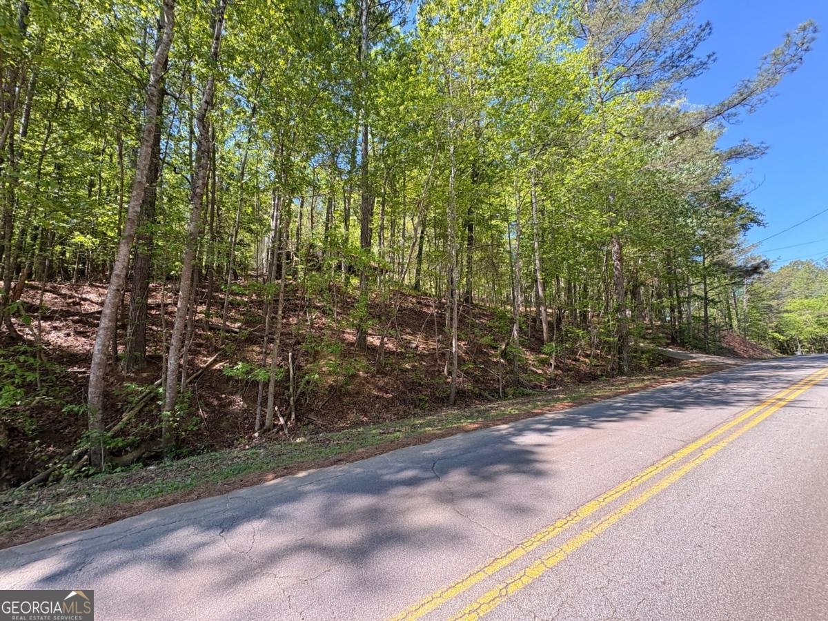 9920 Woodruff Road Palmetto - Photo 12