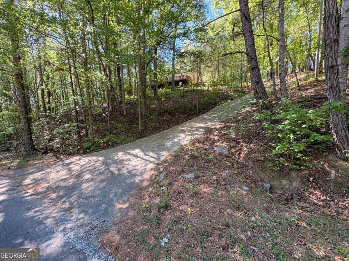 9920 Woodruff Road Palmetto - Photo 13