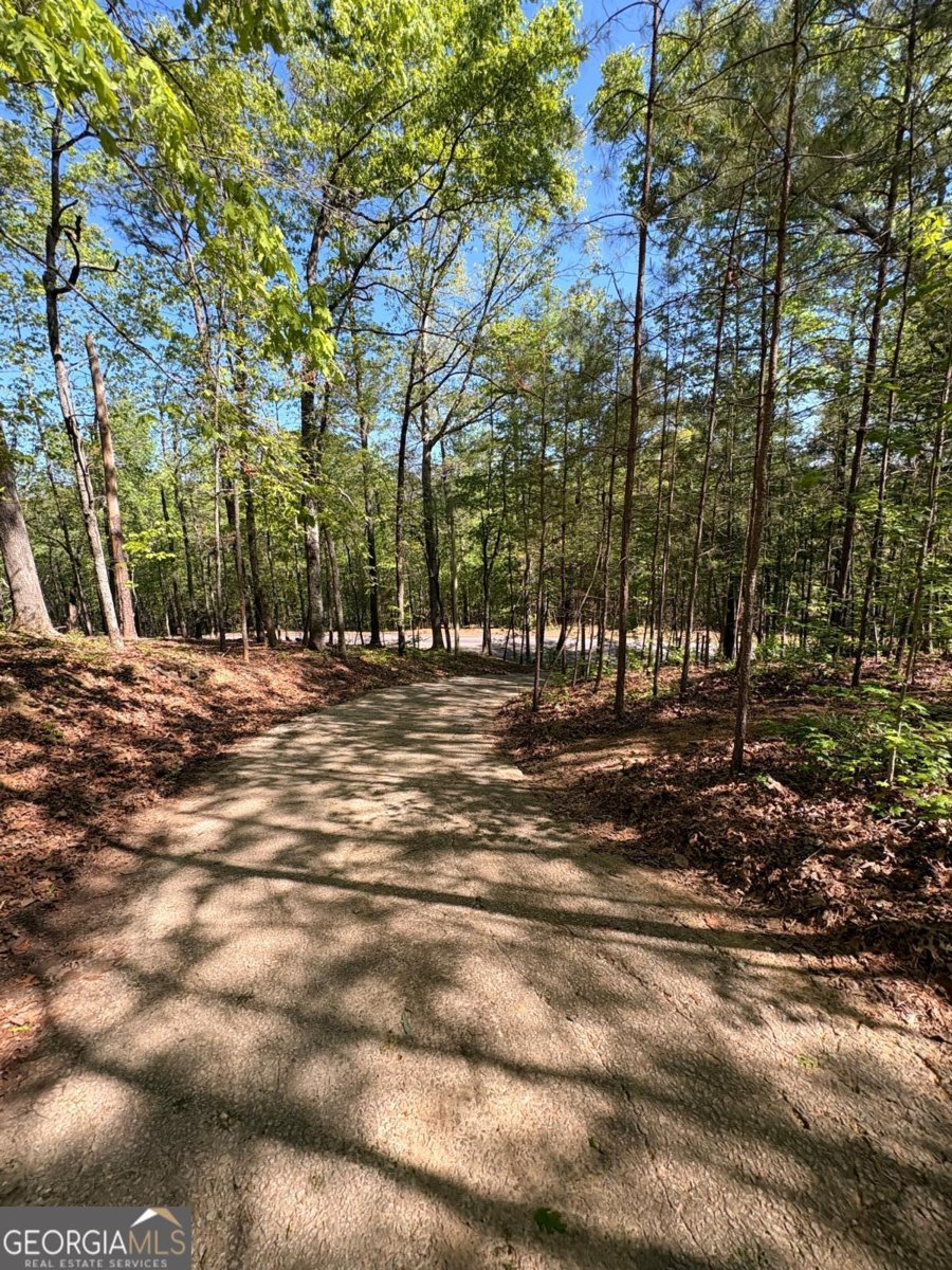 9920 Woodruff Road Palmetto - Photo 9