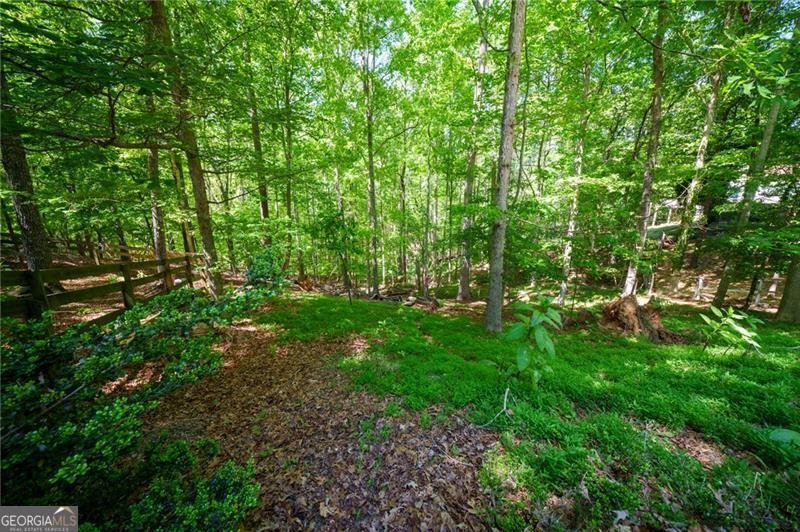 111 Allatoona Drive Woodstock - Photo 33