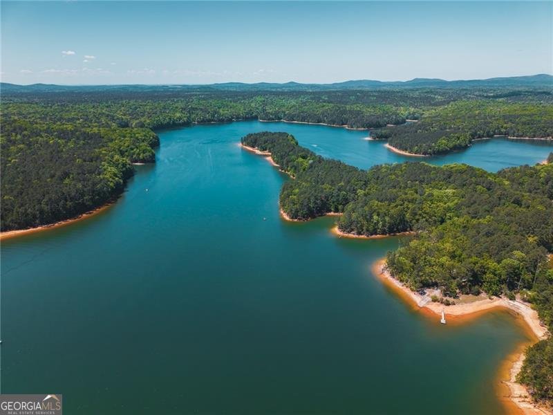 111 Allatoona Drive Woodstock - Photo 40