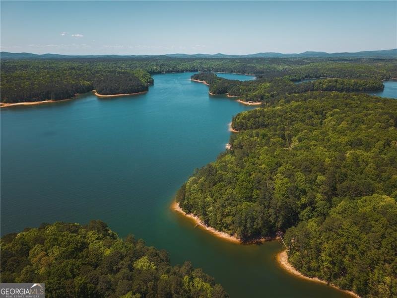 111 Allatoona Drive Woodstock - Photo 43