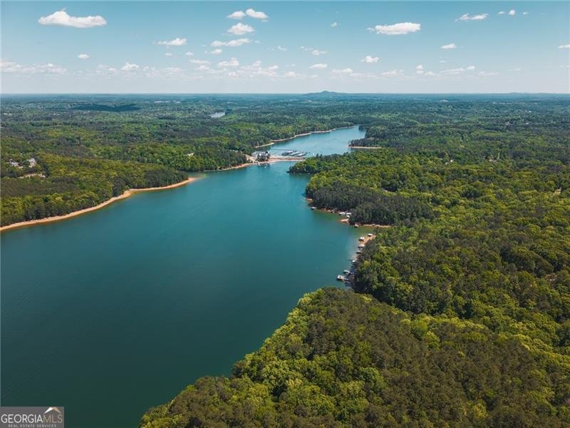 111 Allatoona Drive Woodstock - Photo 45