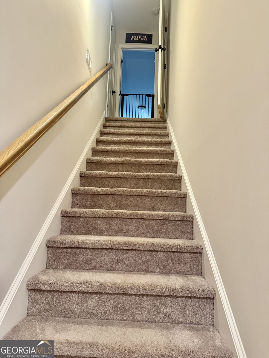 233 Springdale Estates Drive Senoia - Photo 36