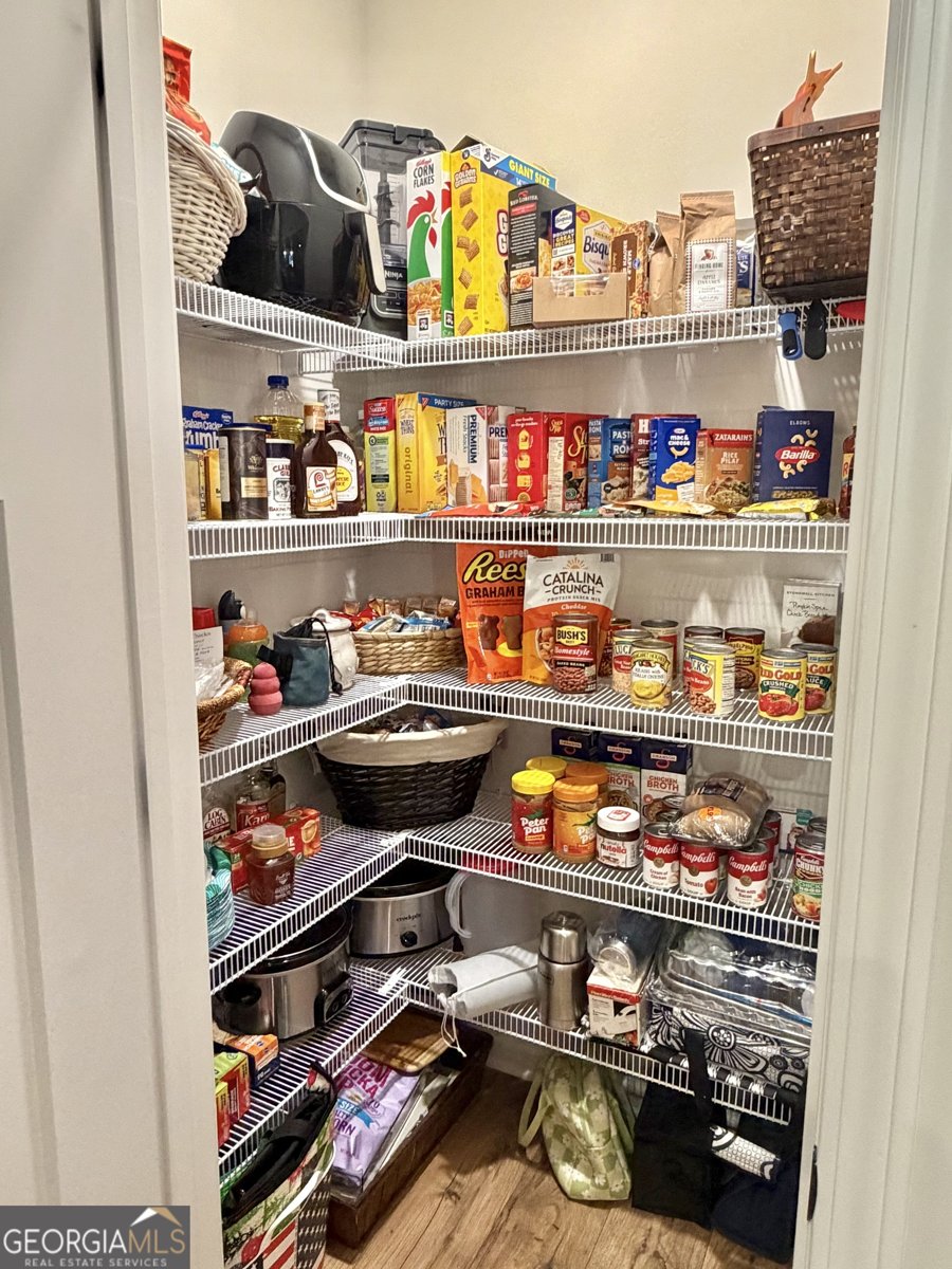 233 Springdale Estates Drive Senoia - Photo 40