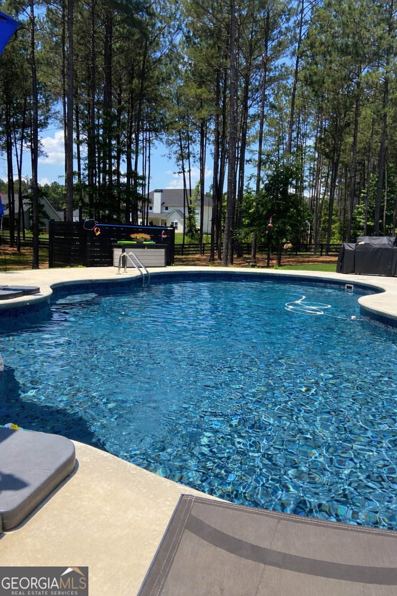 233 Springdale Estates Drive Senoia - Photo 53