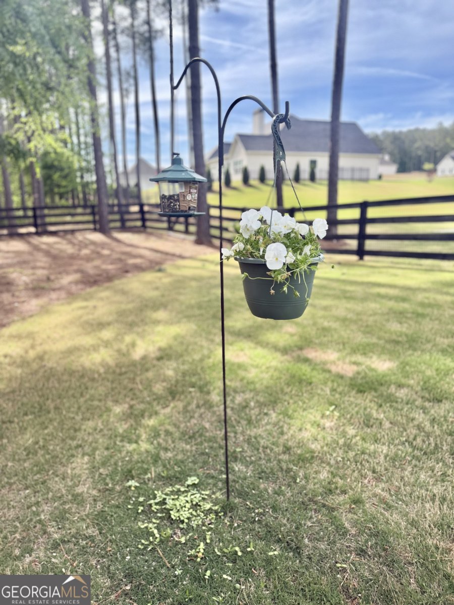 233 Springdale Estates Drive Senoia - Photo 55