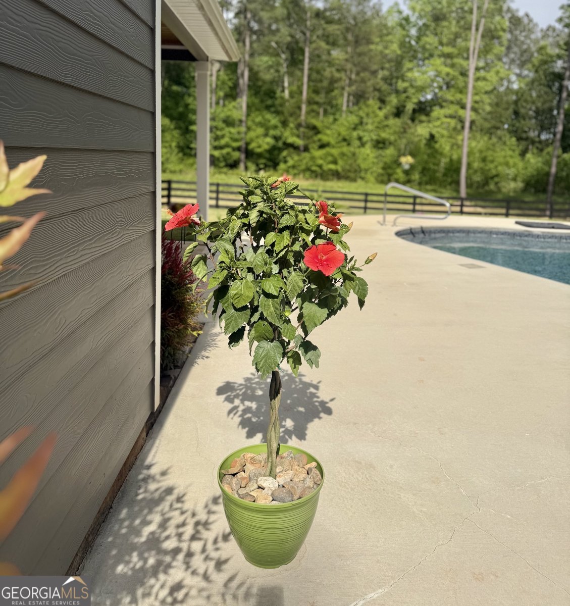 233 Springdale Estates Drive Senoia - Photo 58