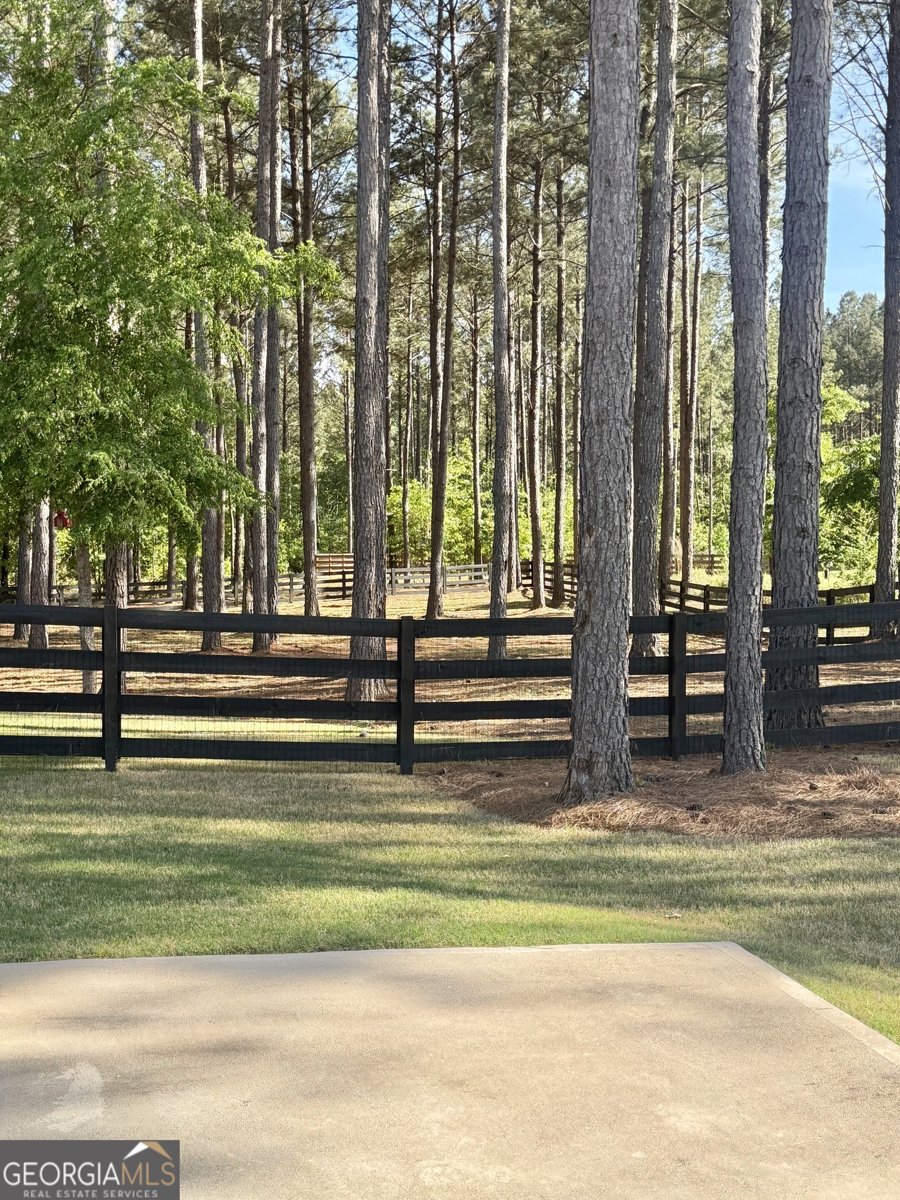 233 Springdale Estates Drive Senoia - Photo 59