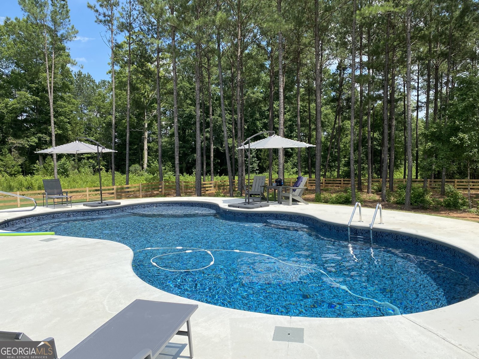 233 Springdale Estates Drive Senoia - Photo 9