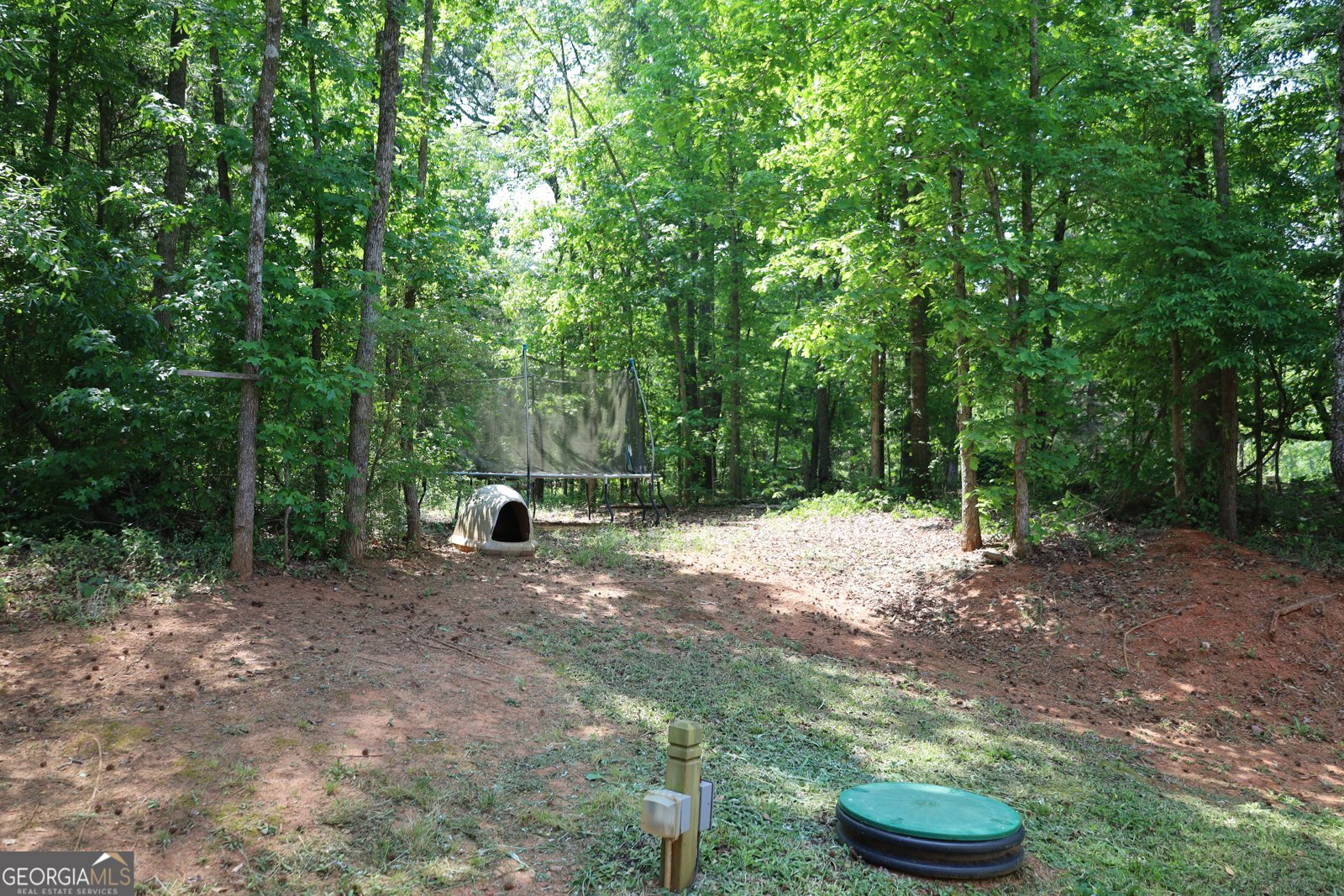 11313 Highway 334 Nicholson - Photo 6