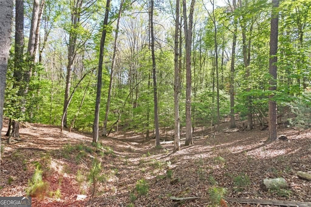 1466 Newport Drive Ellijay - Photo 37