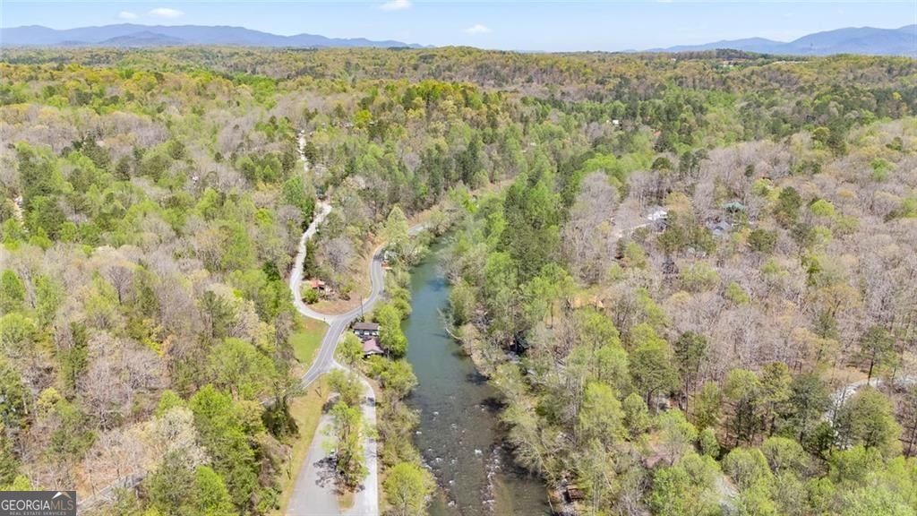 1466 Newport Drive Ellijay - Photo 42