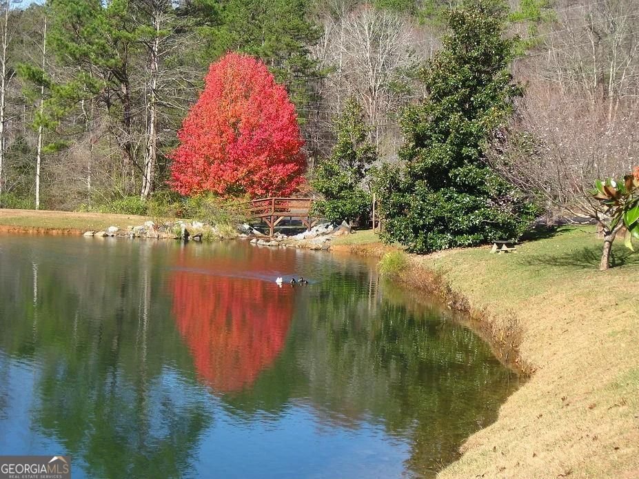 1466 Newport Drive Ellijay - Photo 50