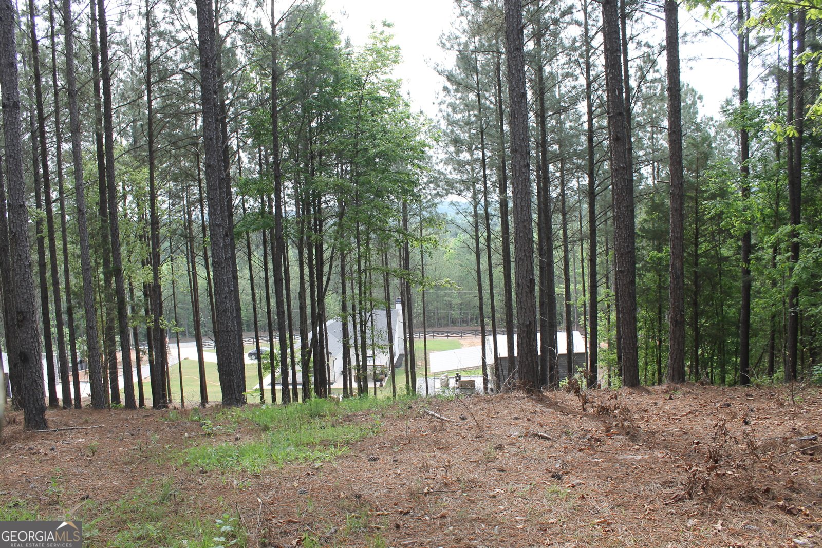 843 Millen Road Monticello - Photo 20