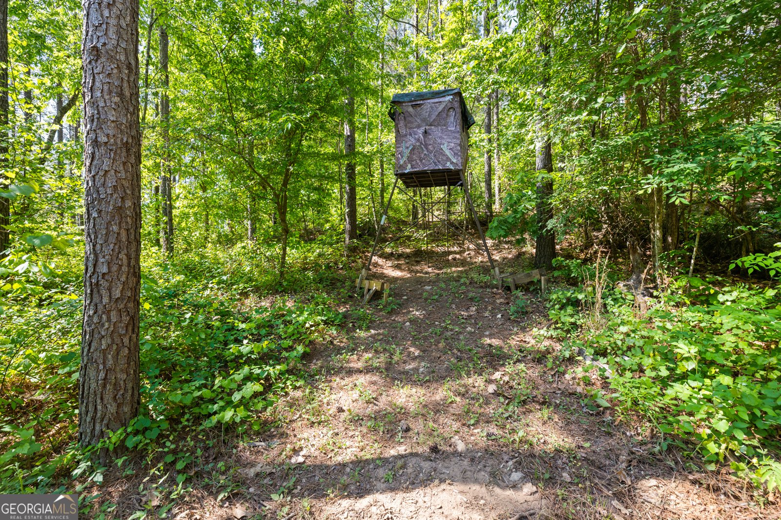 843 Millen Road Monticello - Photo 37