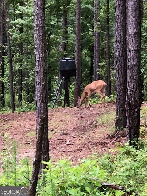 843 Millen Road Monticello - Photo 42