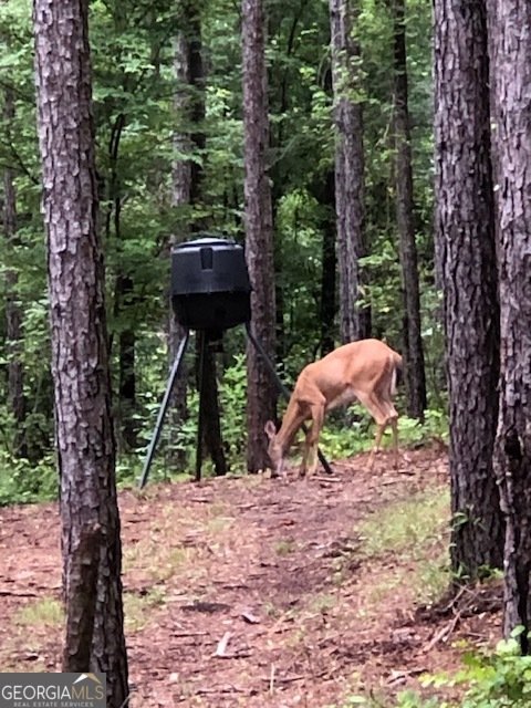 843 Millen Road Monticello - Photo 43