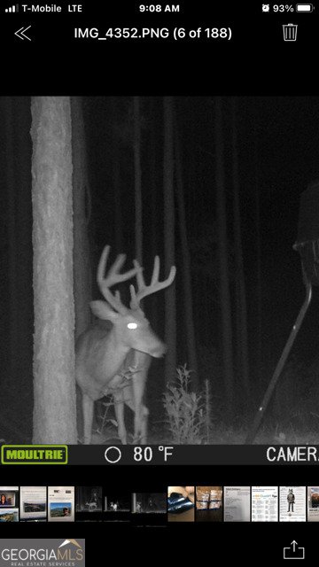 843 Millen Road Monticello - Photo 44