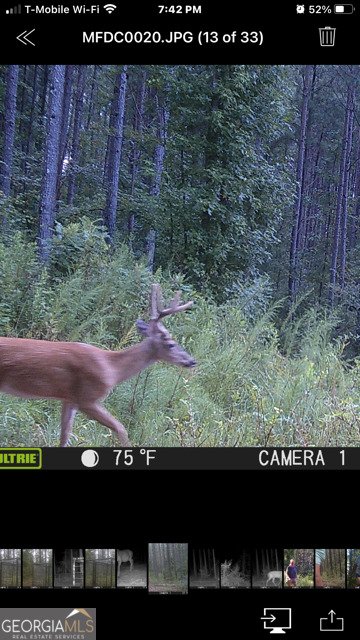 843 Millen Road Monticello - Photo 45