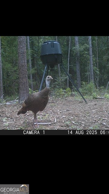 843 Millen Road Monticello - Photo 46