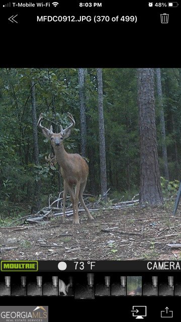 843 Millen Road Monticello - Photo 47