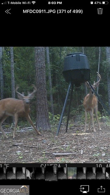 843 Millen Road Monticello - Photo 48