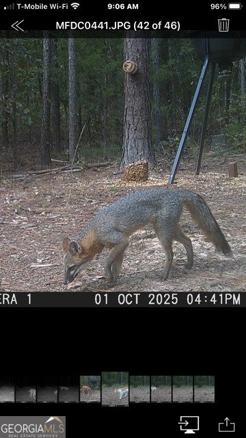 843 Millen Road Monticello - Photo 49