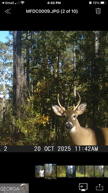 843 Millen Road Monticello - Photo 50