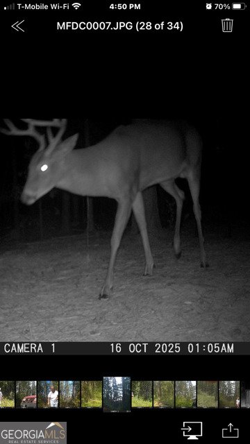 843 Millen Road Monticello - Photo 51