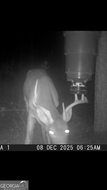 843 Millen Road Monticello - Photo 52