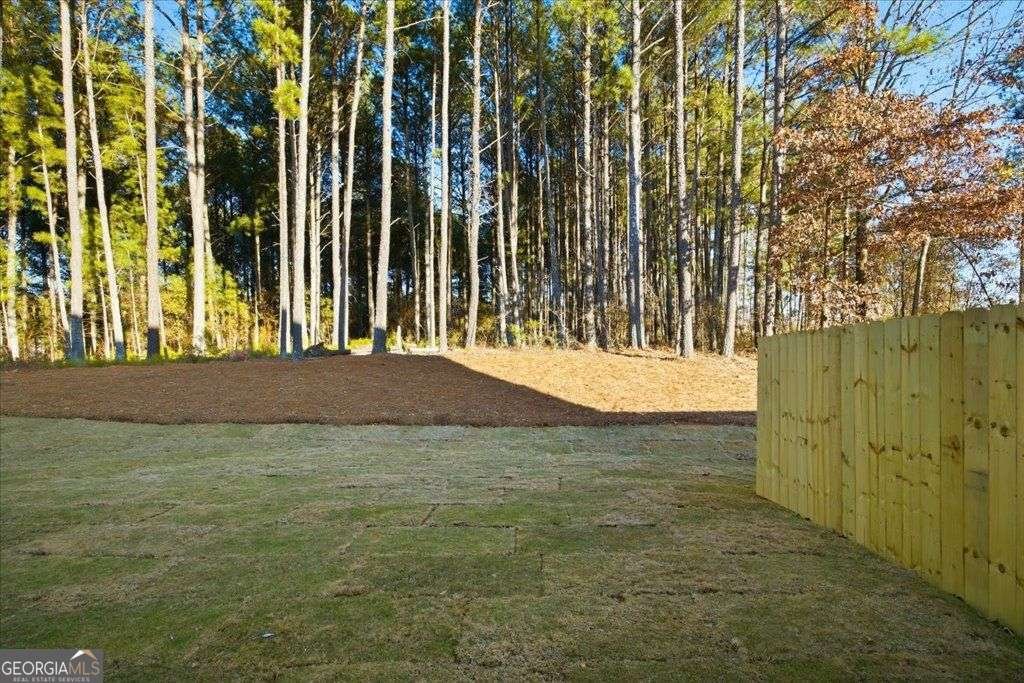 2540 RIVERSIDE Road Conyers - Photo 38