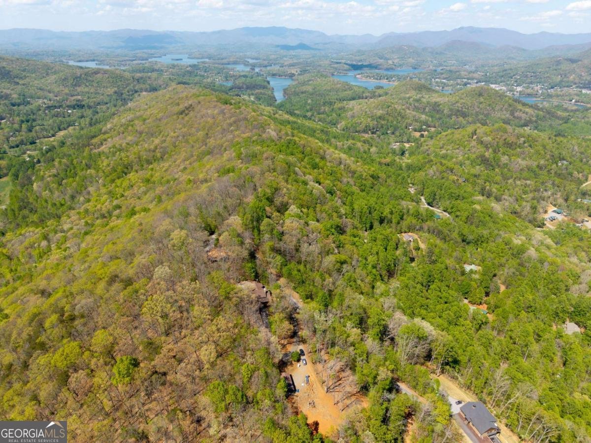 1689 Long Ridge Road Hiawassee - Photo 45