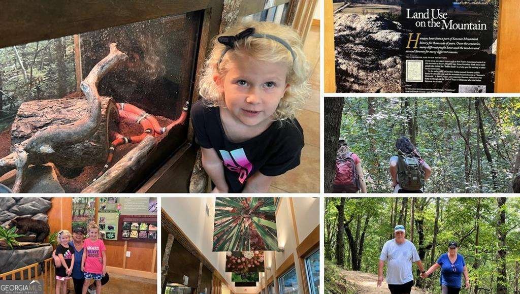 5375 Keepsake Court Cumming - Photo 23