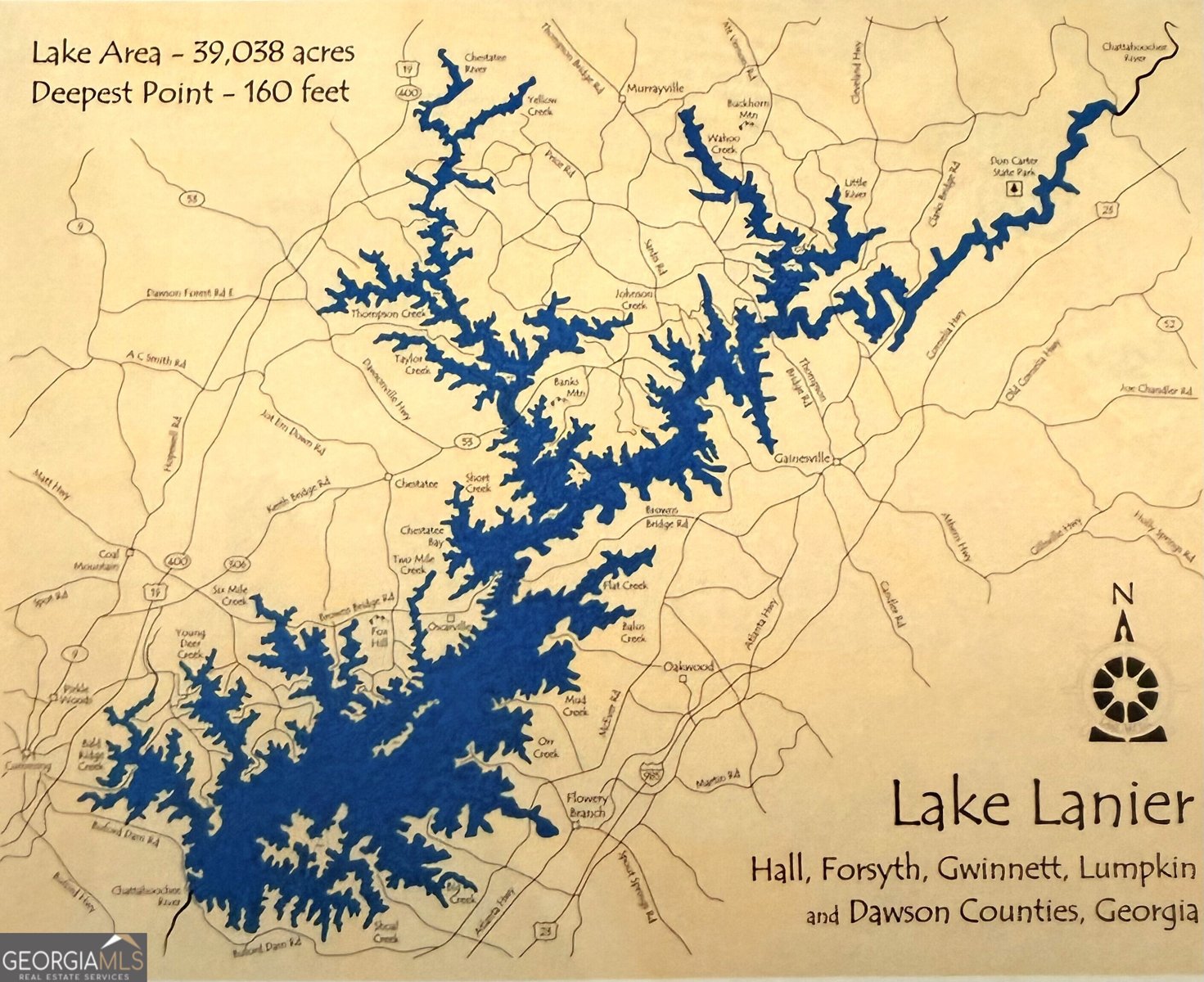 6920 River Island Circle Buford - Photo 38