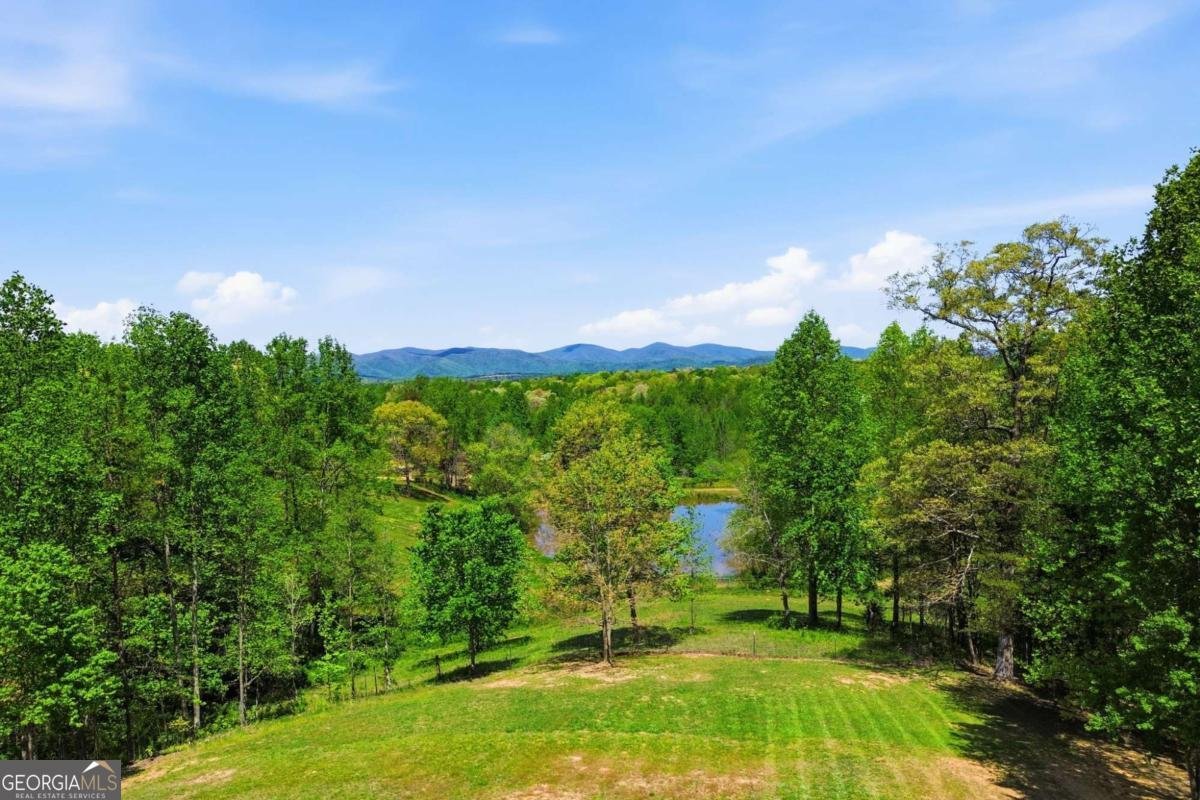 116 Lakota Drive Dawsonville - Photo 53